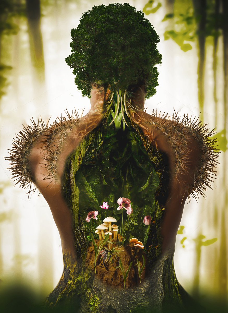 enviethegeek's tweet photo. @opensea The message behind flowers and splinters nft is You meet different people in life and get close to some of them. During the interactions you have with them, they end up adding positive and negative things in your life. When they leave, the negative and positive things stay..cont. https://t.co/xmv2OTuXNu