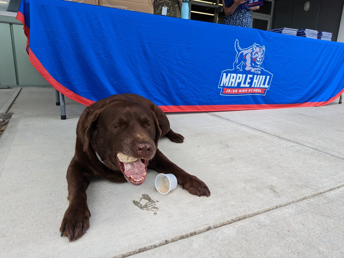 KakuleMrs's tweet photo. @MapleHill_HS Yearbook distribution day for grades 9 - 11 and Mr. Ding A Ling provided the yummy treats! Thank you to everyone who helped and to the Schodack PBA for the ice cream. @MariotheDog2 https://t.co/OKg5ab0Kza