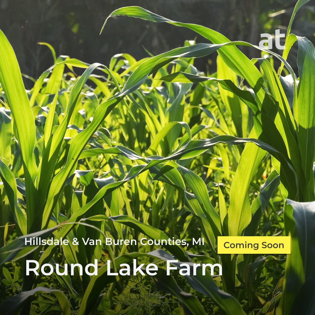 acre_trader's tweet photo. A new farm offering will be available Tuesday (06/14) at 1:00 PM CST! Get all the details on Round Lake Farm and register for text alerts here: https://t.co/DFQSfE62kF
#landforsale #farmlandforsale #farmlandinvesting #landinvesting #agtech #fintech #michiganland #agtwitter https://t.co/sCMz8l6Tgi