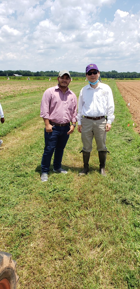 LSU Phytobacteriology Lab tweet media