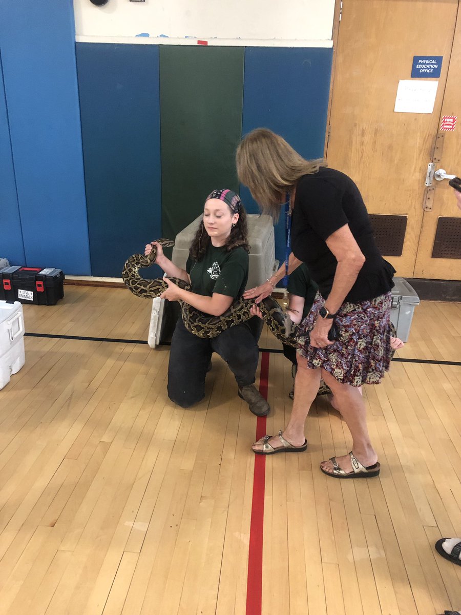 First graders and Mrs Simon ending the year with a big hop and slither!  Thank you to our Hemenway PTO and Animal Adventures of Bolton!