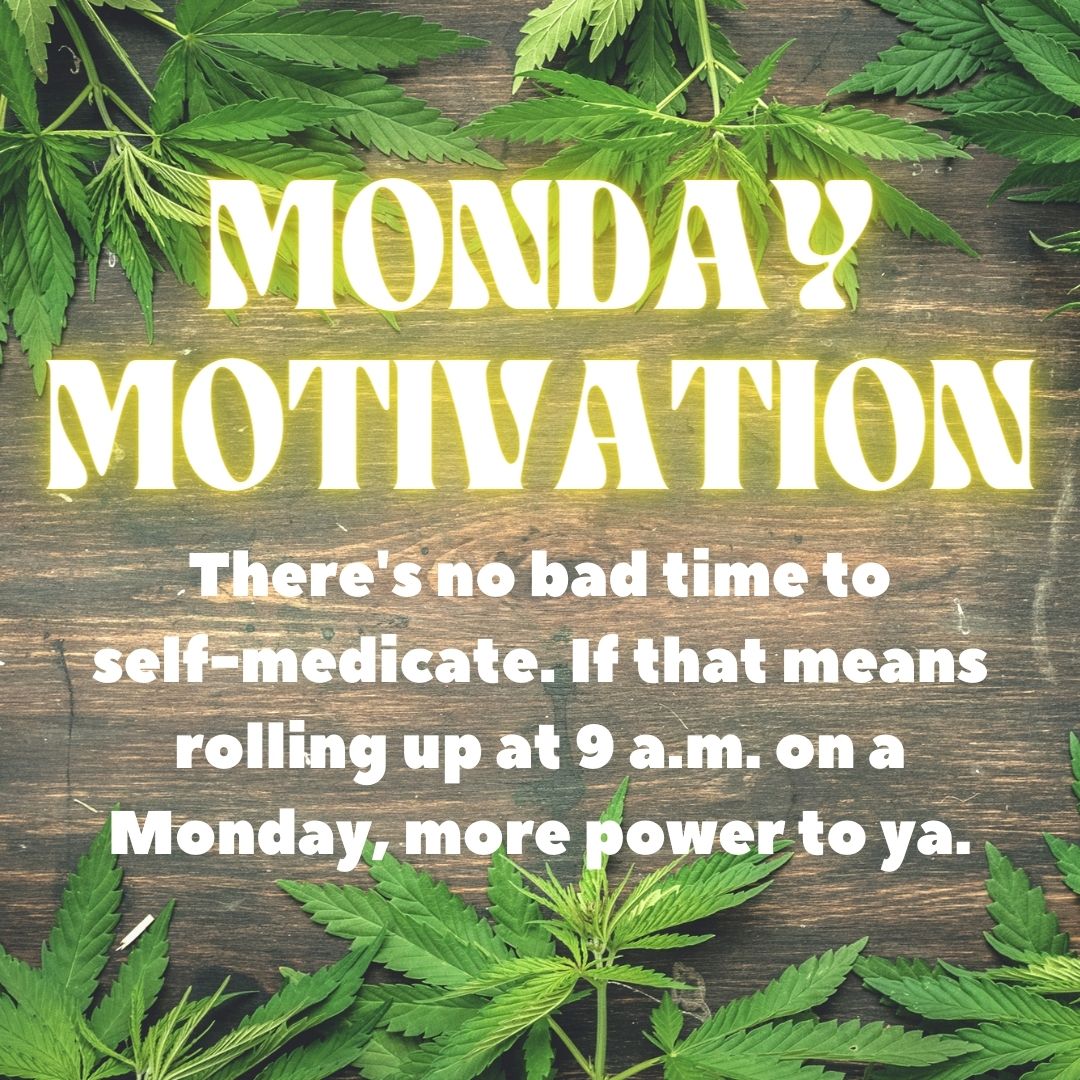 WeedylandTV's tweet photo. We've all been there a time or two... or twenty. Happy Monday! 😅

 #animation #welcometoweedyland #legalizemarijuana #stonerapproved #animatedseries #cannabis #pot #marijuana #movement #hightimes #maryjane #legalization #puffpuffpass #animatedtv #adultswim https://t.co/2H213LWzof