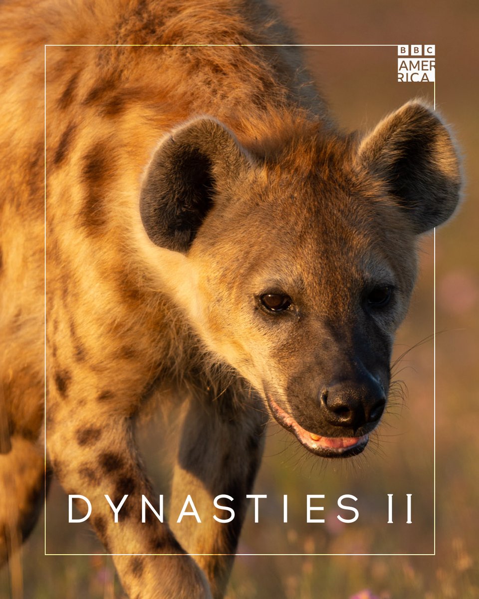 BBC America tweet media