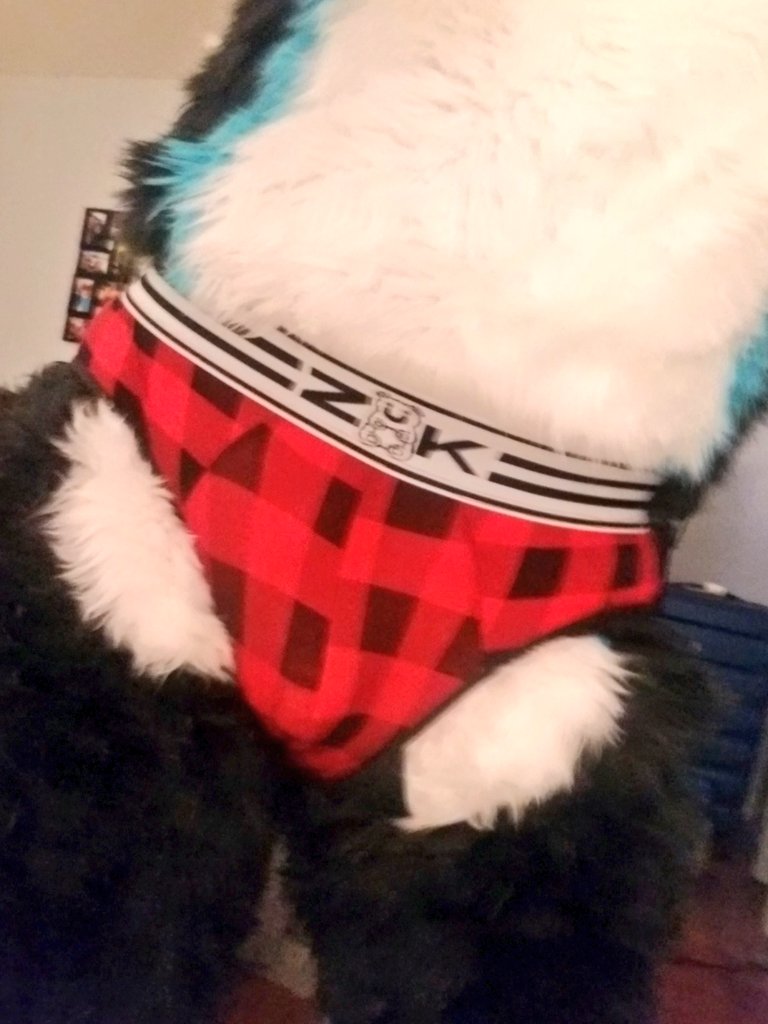 Ember Collie tweet media