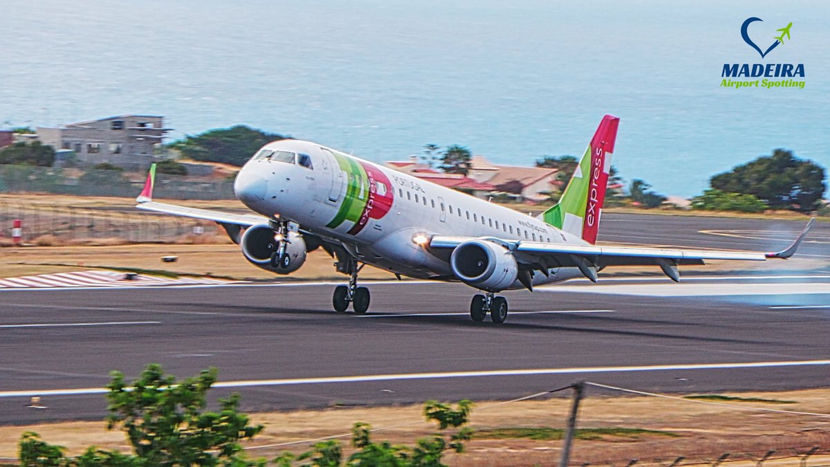 MadeiraSpotting's tweet photo. TAP Express Embraer E190LR landing at Porto Santo - PXO - Airport.

#portosanto #pxo #embraer #tap #tapexpress #landing #airport #aviation #avgeek #pilot #crew #airplane #e190 https://t.co/9mT71Z9SPV
