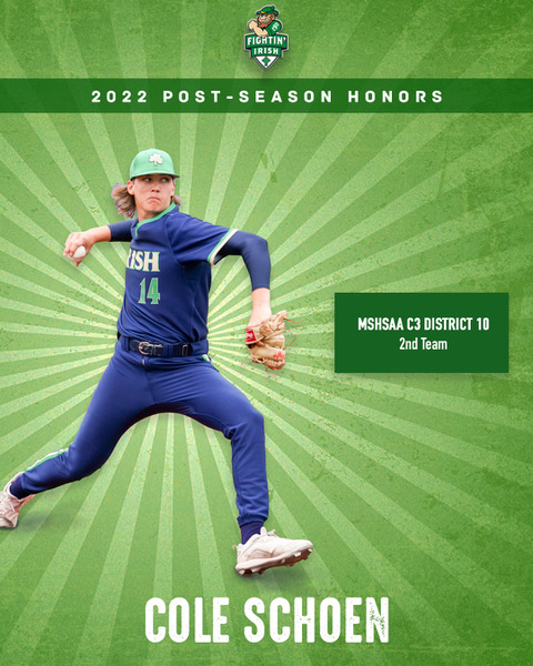 Irish Baseball tweet media