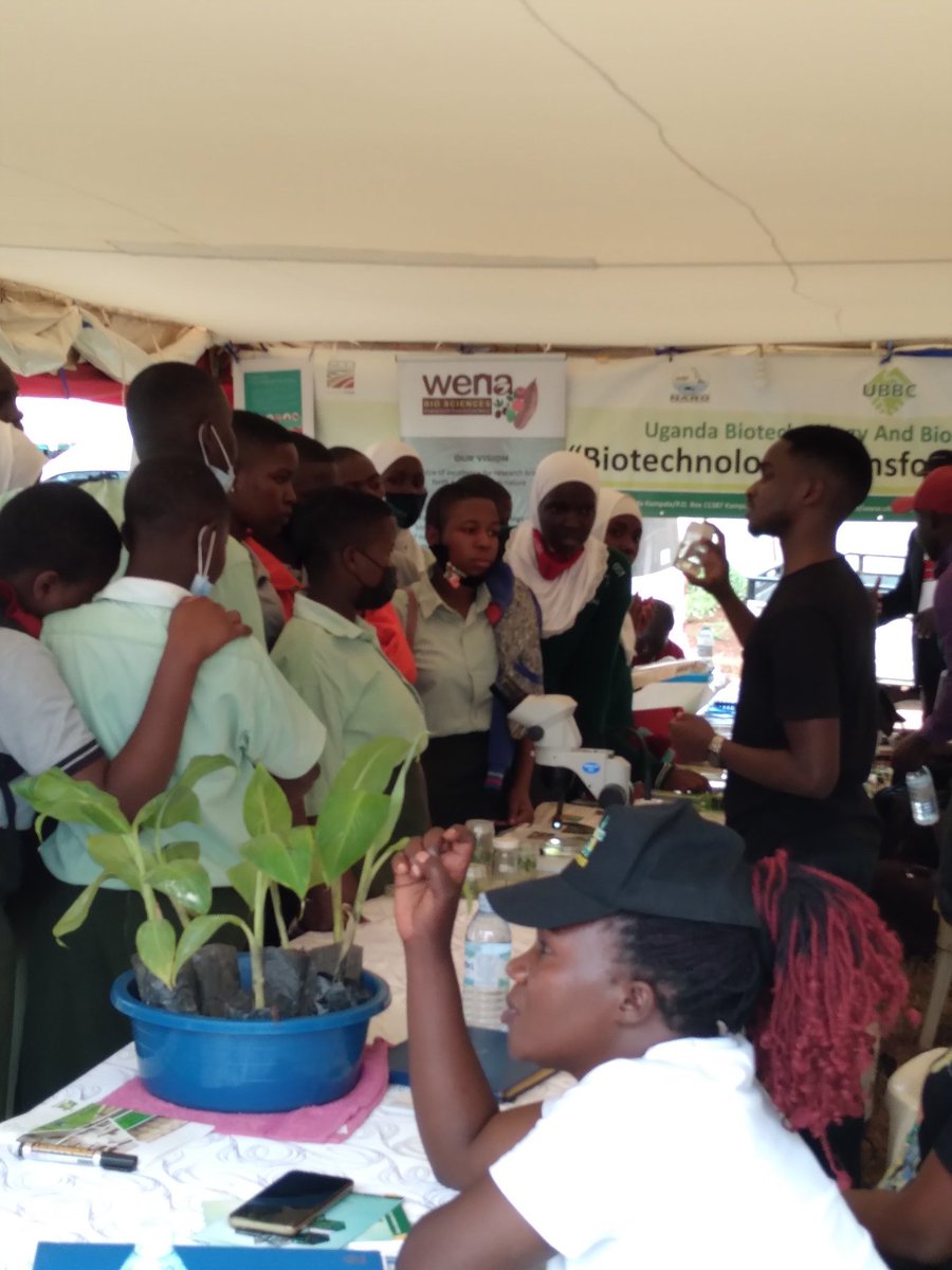 Students "mob" the Uganda Biotech and Biosafety and Partners Stall at the 1st National.Agricultural Education show in Jinja that from.8th to 12 June to learn Biotech @nmugwanya <a href="/barbara_zawedde/">Barbara Zawedde</a> <a href="/UgandaBIC/">UBIC</a> <a href="/biotechsafety/">Uganda Biotechnology & Biosafety Consortium</a>