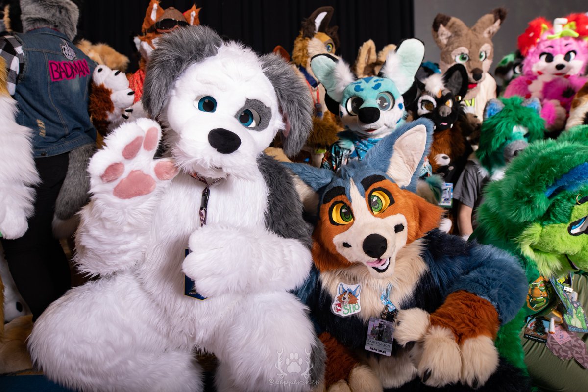 BiggestLittleFC's tweet photo. [LOADING]...

[FURSUIT FESTIVAL]

Relive the [FUN] of the #BLFC2022 Fursuit Festival! PHOTOBOOTH [PHOTOS] are coming online! Check them all out on our website!

https://t.co/qNFsQPWL54 https://t.co/xv3ZLGBxzD
