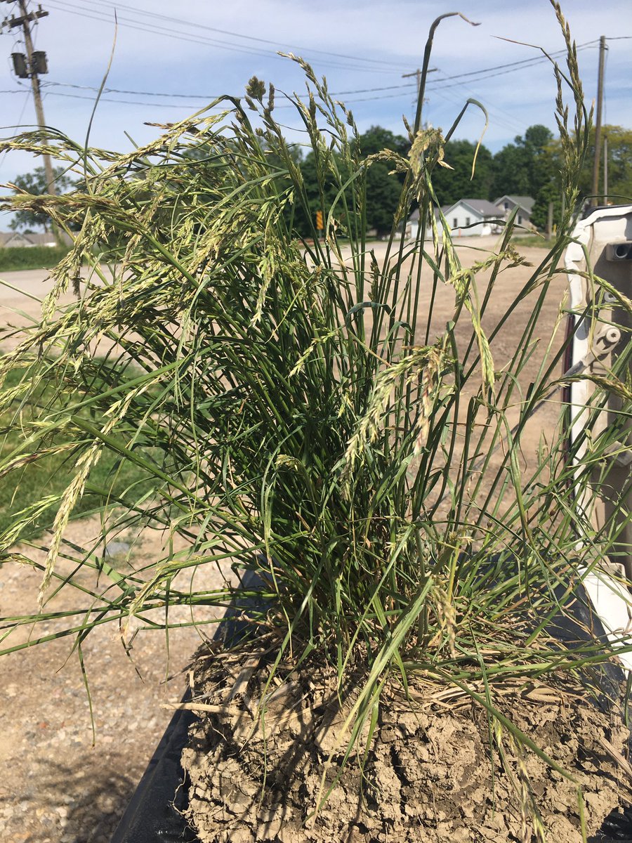 Paul Robinson tweet media