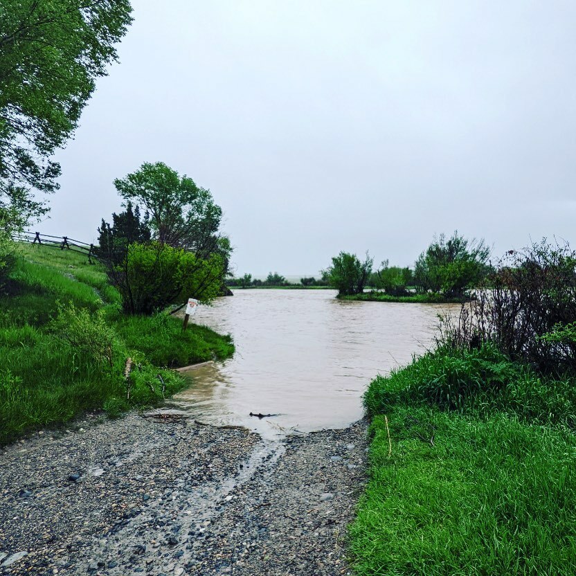 The Upper Madison is looking mean, high, and dirty. Hebgen Reservoir is now 100% full and rose a mighty 6 inches yesterday. NorthWestern Energy is reporting that Hebgen is currently at flood stage, with 4500 CFS entering the lake. It appears that flows w… instagr.am/p/CewelXlpSPm/