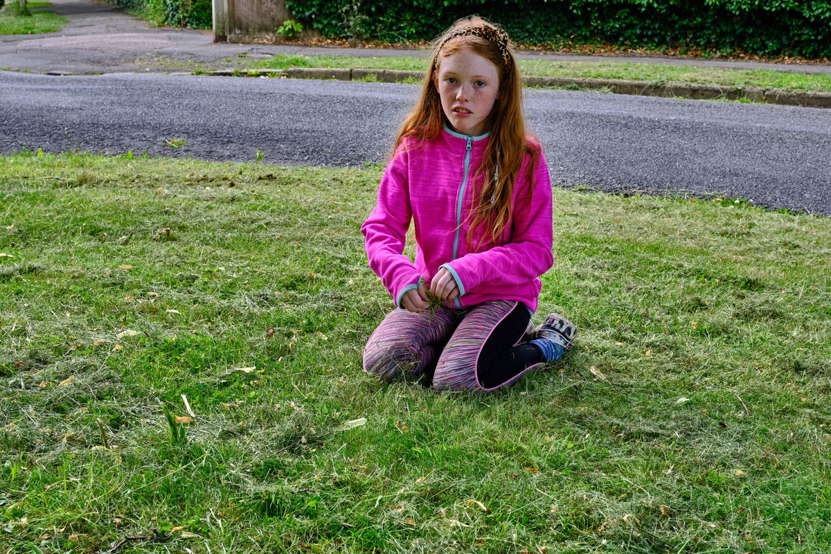 hedgehoghugh's tweet photo. Yesterday Isabella showed me the Bee &amp; Pyramidal orchids she had found on Oxford roundabout. She saw them first 2 years ago. Wrote to 
@OxfordshireCC asking them to not mow. She was so pleased, she thought they had listened. This morning they mowed. #bbcspringwatch #heartbreaking https://t.co/pCbPUQgjKQ