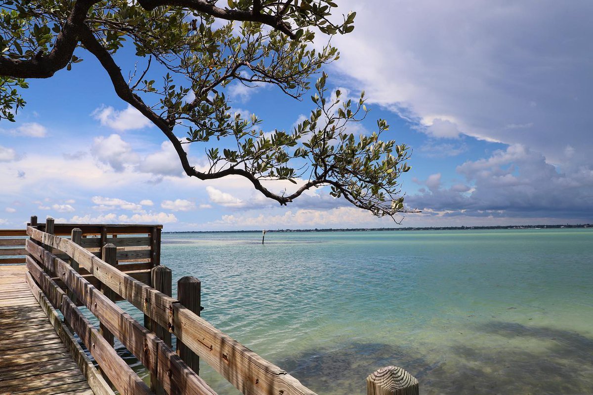 VisitSarasota's tweet photo. Go offline and take a detour to #sarasotanature ☀️🌱🌊 #workwhereyouwanttolive #visitsarasota 

📷 @ lex1441
📍 Quick Point Nature Preserve https://t.co/aPM6brua16