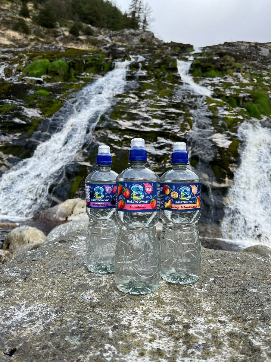 Which flavour tastes the most like summer to you? 🍓🥭
 #BottledWild #HintOfFruit