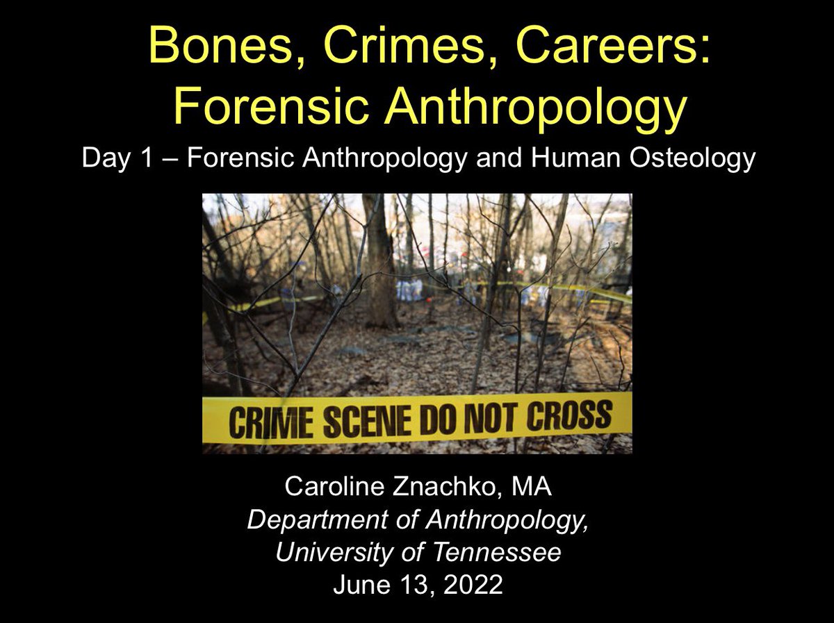 First day was a success 🥳