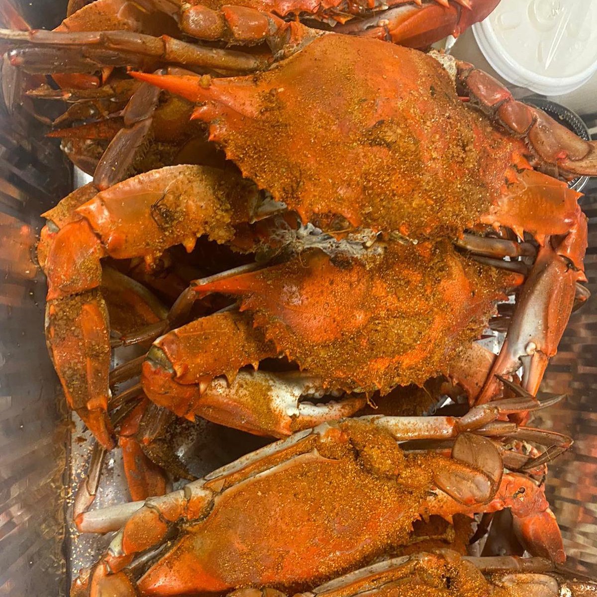 CaptainMas's tweet photo. ‼️BLUE CRAB GIVE AWAY‼️
‼️ALL YOU CAN EAT BLUE CRABS $55pp
‼️$10 off of a dozen of Med./Large/XL https://t.co/DNIggTDq0u