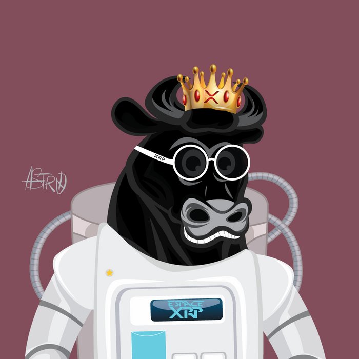 METAGAD_'s tweet photo. My New @AsTaureaux  NFT First French Speaking Community on the #XRPL 👑👓🇨🇵 https://t.co/kXhGvmcYx0
