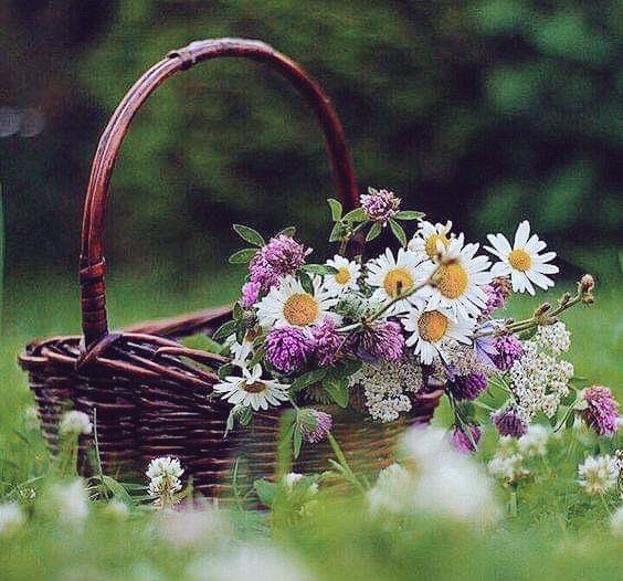 خلك بسيط ، وحب للعالم الخير 
حبك لفعل الخير يعكس تواضعك 
ٰ 🎵☄️
وعلى كثر منت متواضع مع الغيير 
على كثر ما الله مع الناس يرفعك