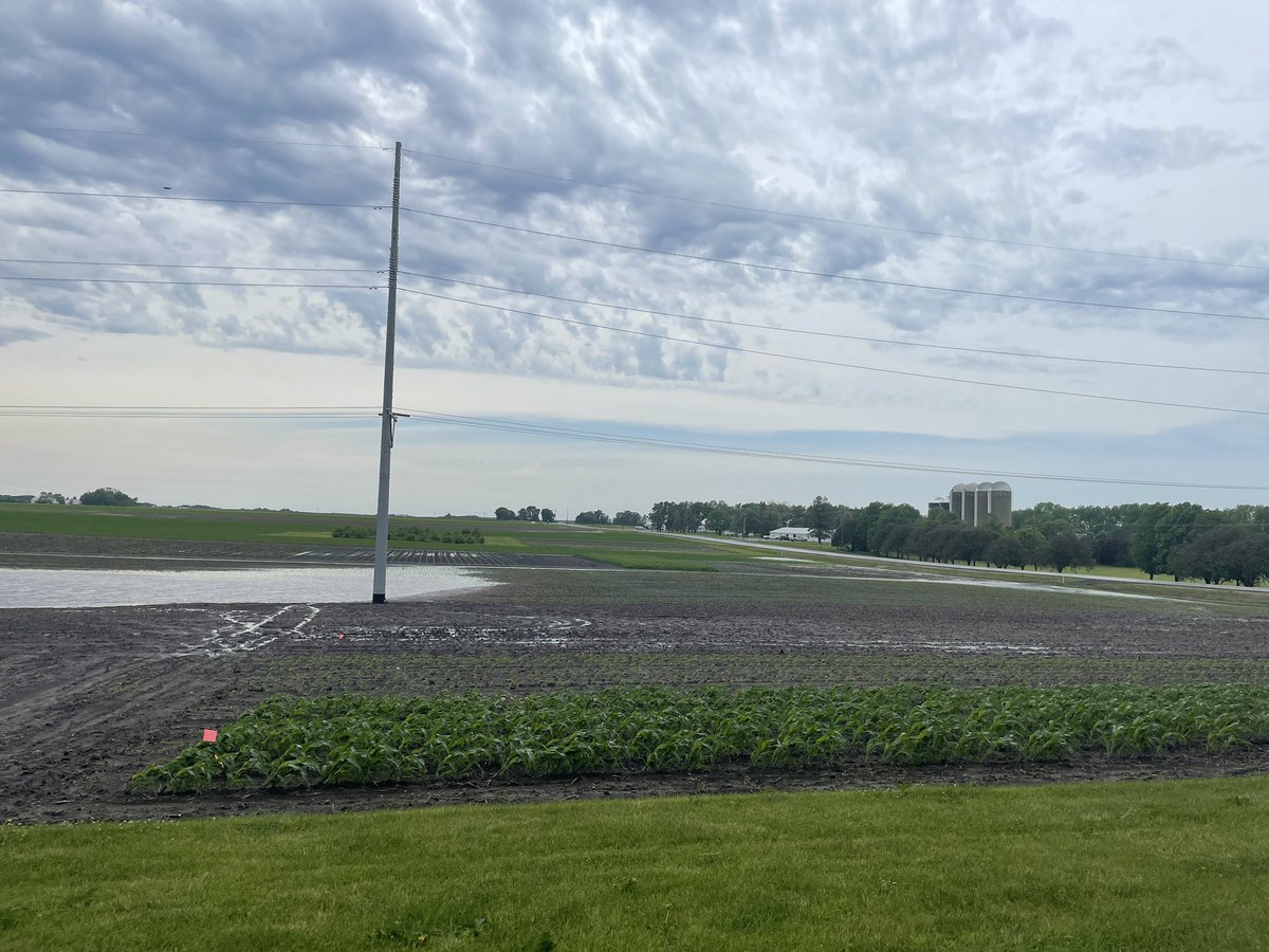 Natalie Hoidal tweet media