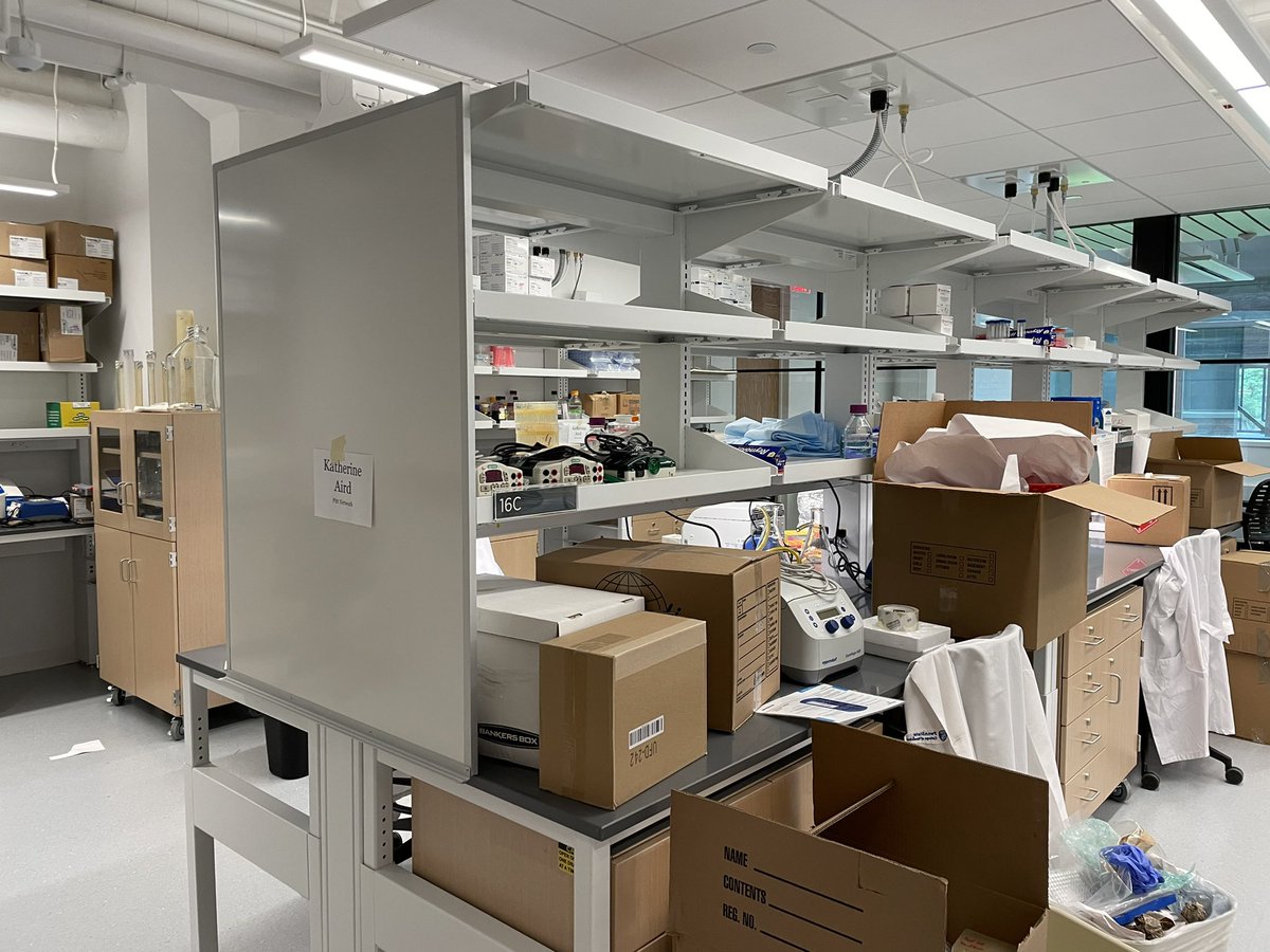 Katherine Aird tweet media