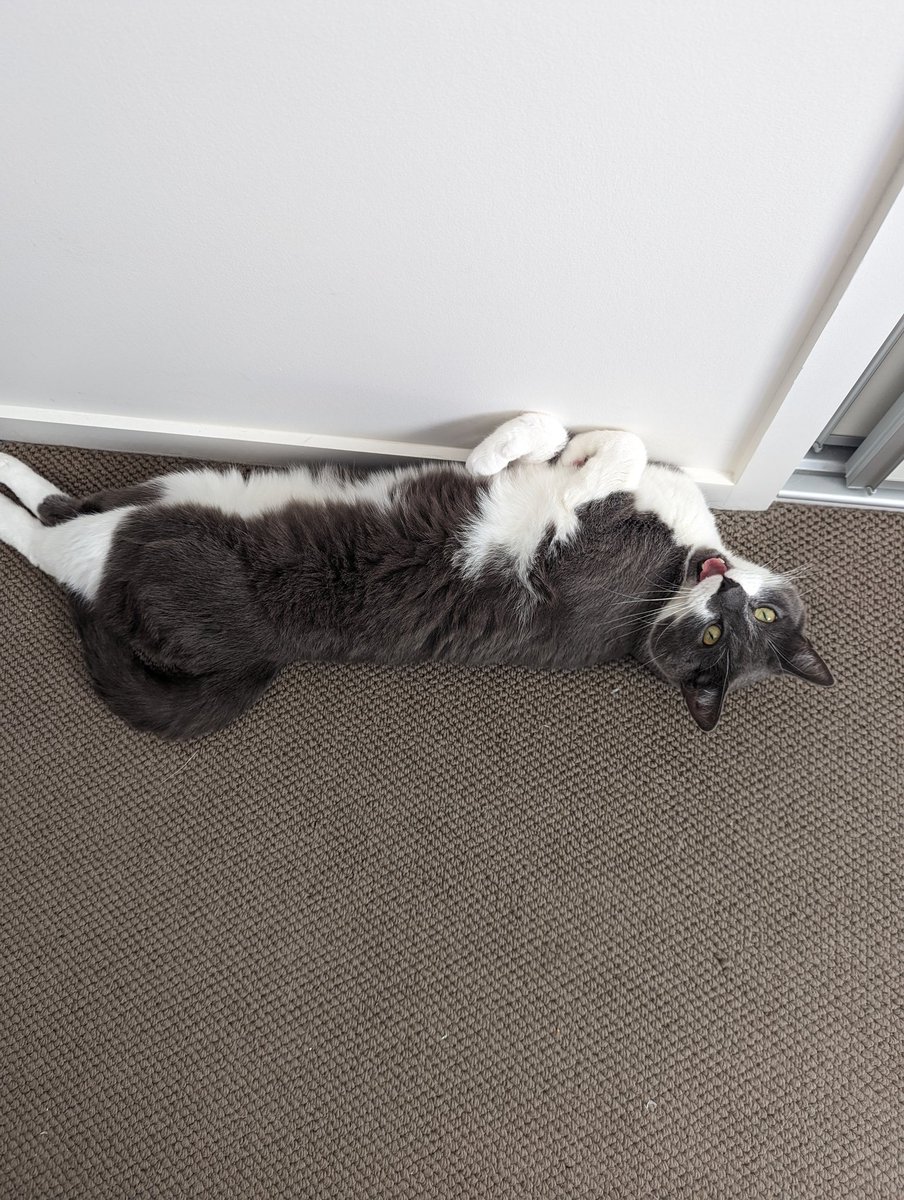 The Cleaner tweet media