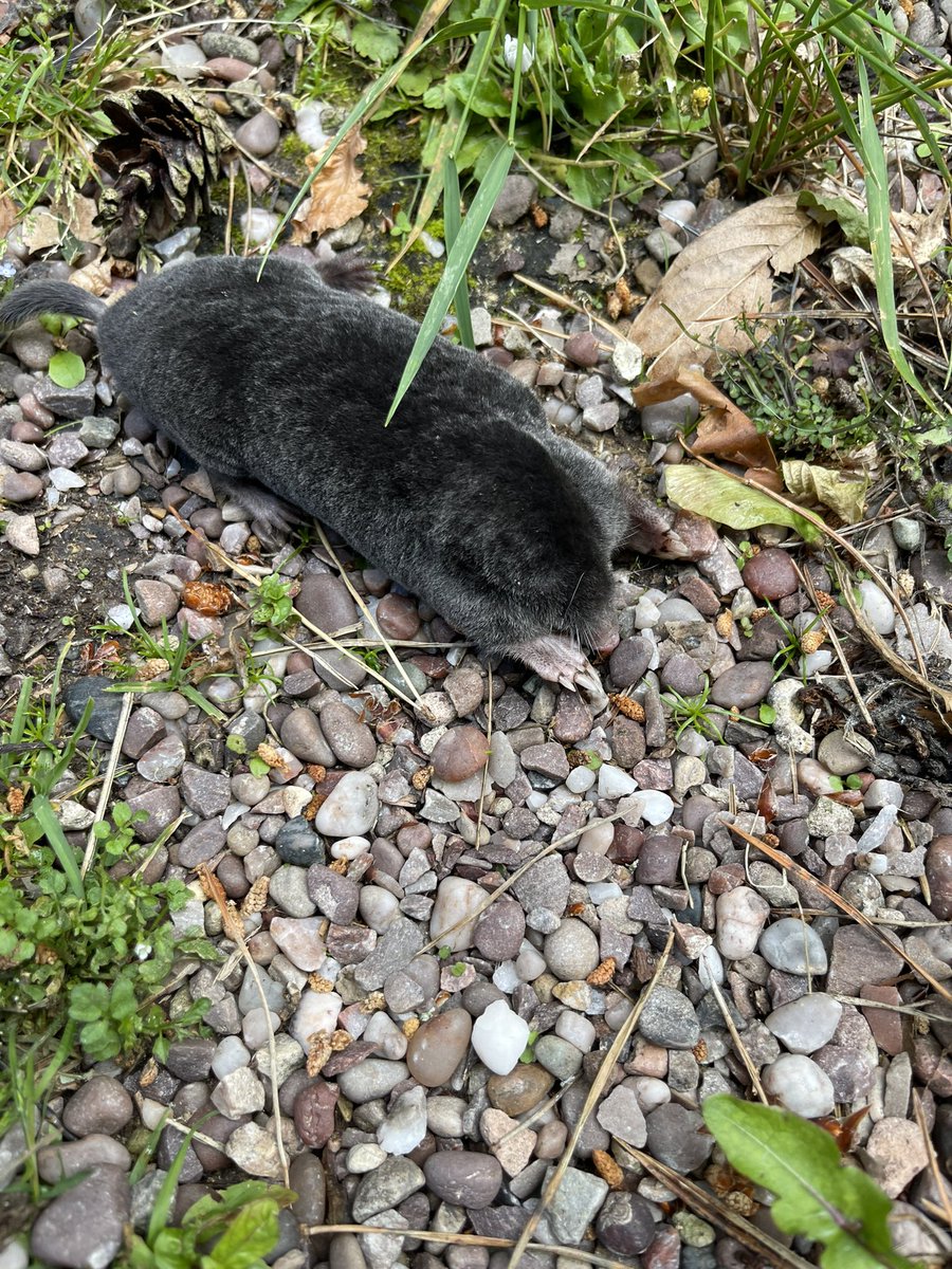 Jon Campbell tweet media