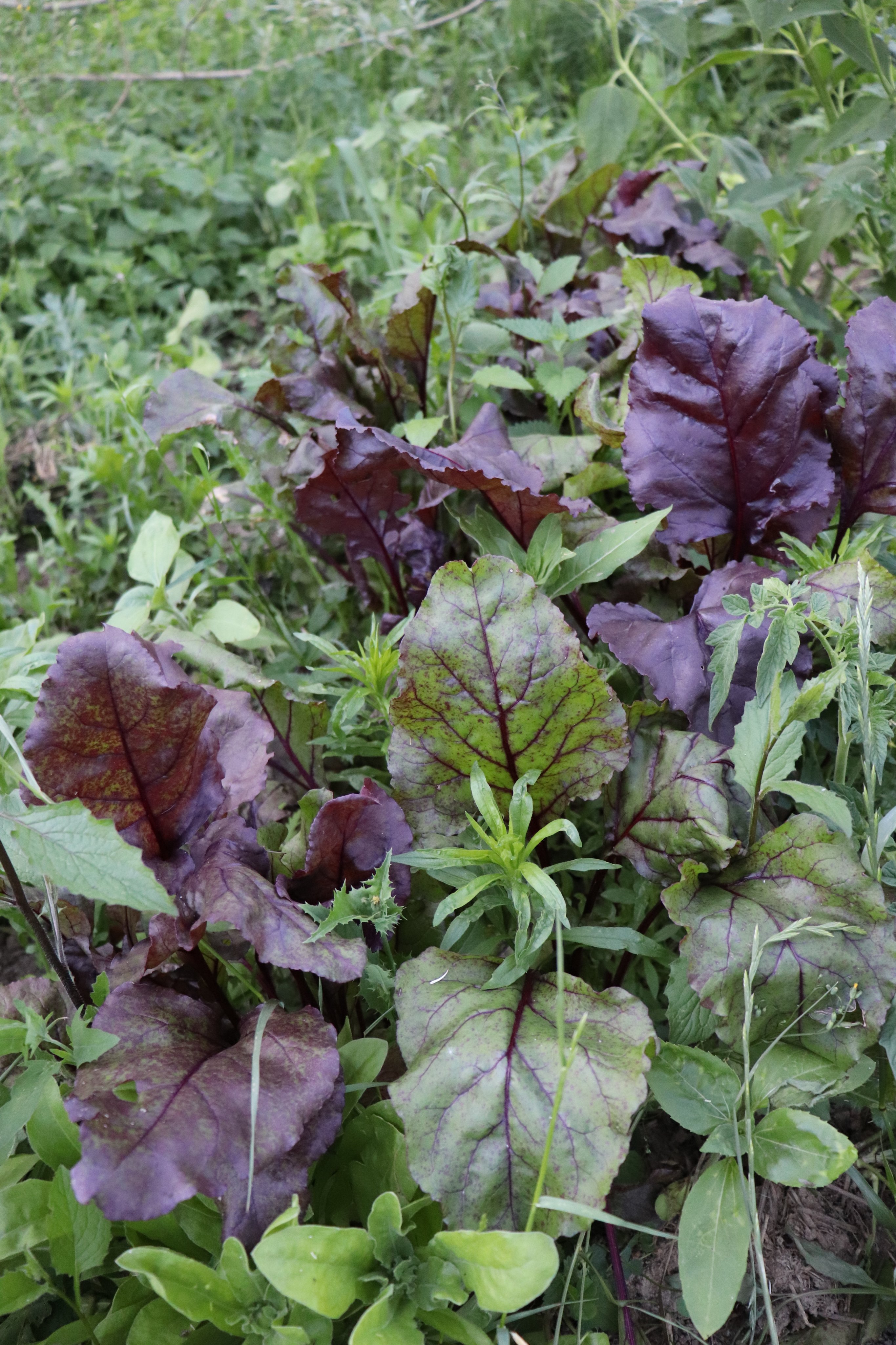 Marie Cachet on Twitter 