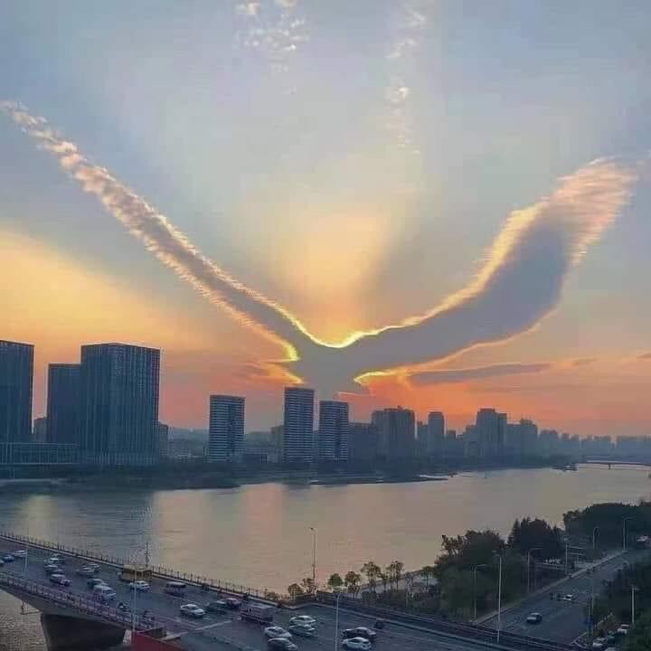 artt_28's tweet image. سَنُرِيهِمْ آيَاتِنَا فِي الْآفَاقِ ..