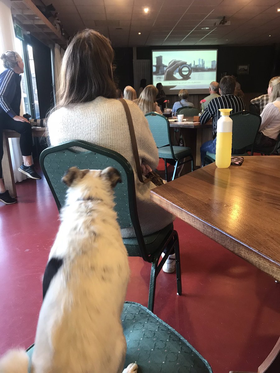 stadsLAB_Saxion's tweet image. Onze studenten leren voor heel wat verschillende groepen te presenteren. Bij @slimsteweg ging het vanavond o.a. over biodiversiteit en luisterde dus ook de hond mee…mooie avond bij #ProeftuinNettelhorst in de Melkttap in Geesteren