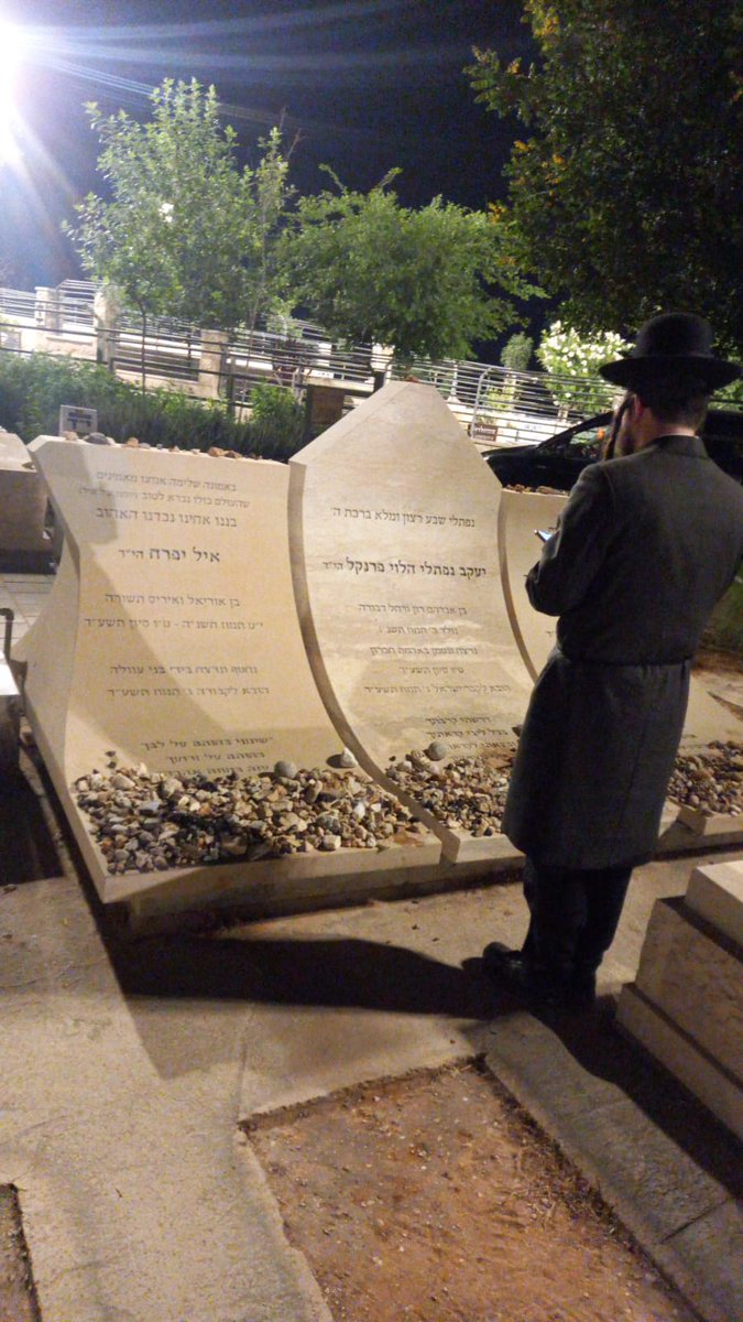 אבי זאבי tweet media