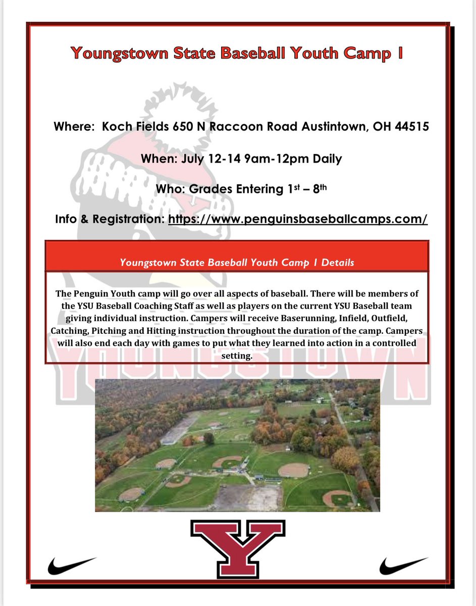 penguinsbaseballcamps.com