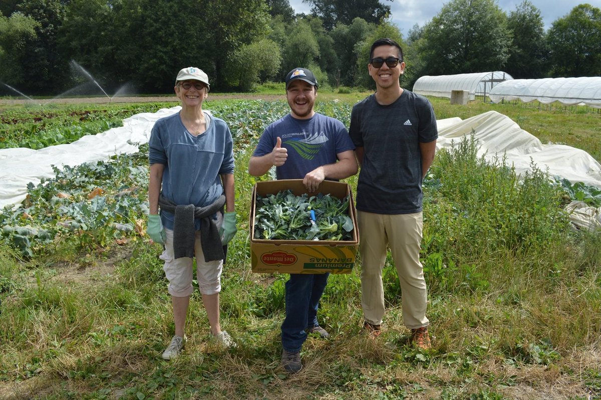 Each summer, volunteers glean produce for the Polack Food Bank at Oxbow Farm in Carnation. This year, we have shifts available on the fourth Tuesday of each month. You can view and sign up for open slots here: loom.ly/xGno_Q0 🥕