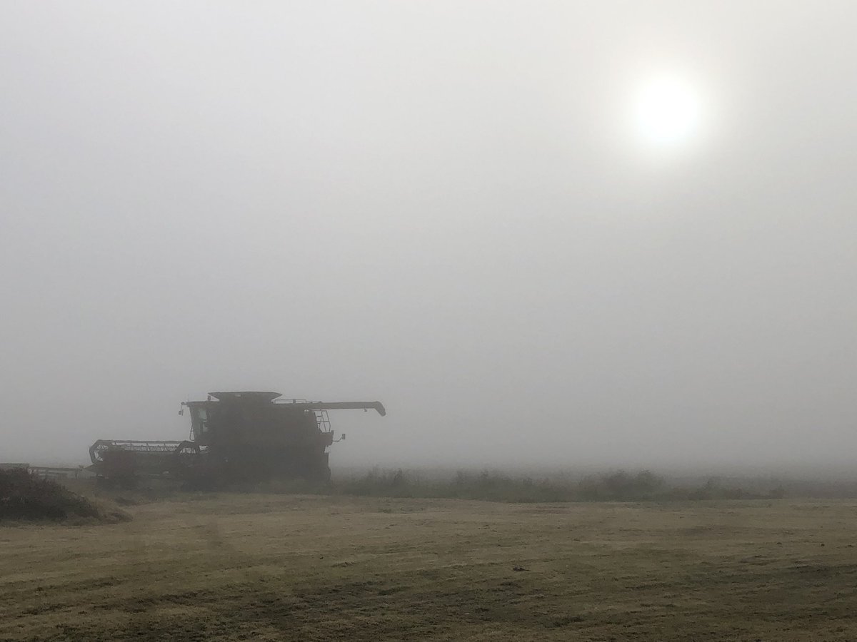 Bit foggy this morning. Makes it hard to get the soybean moisture down.