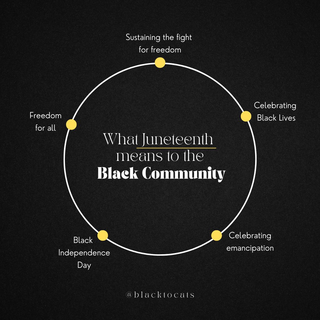 Blacktocats tweet media