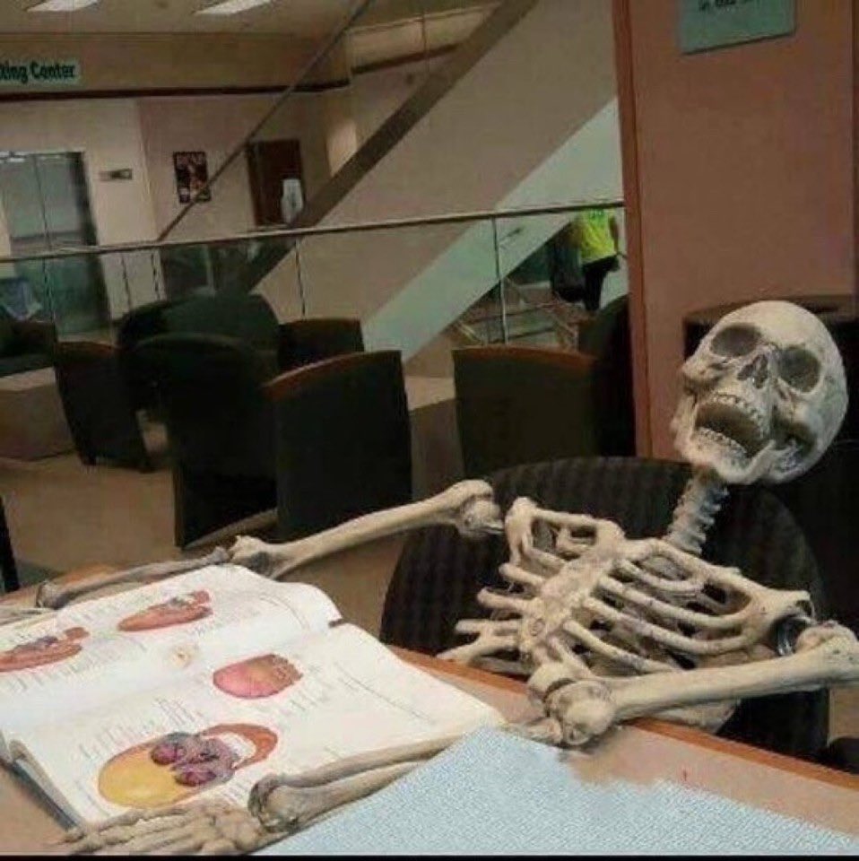 knows_med's tweet photo. Studying medtech be like: https://t.co/r3ZyBX6xsA