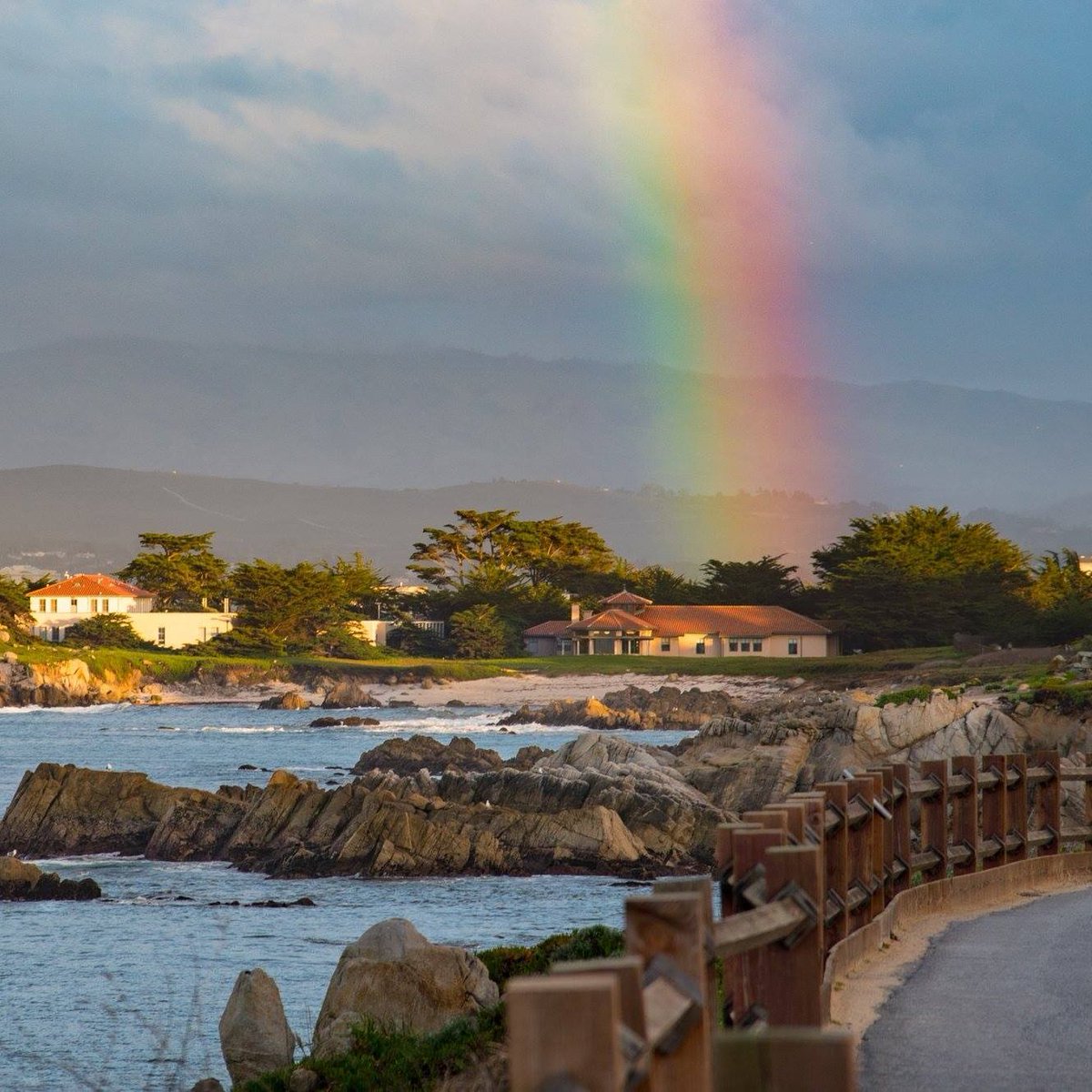 Stanford Center for Ocean Solutions tweet media