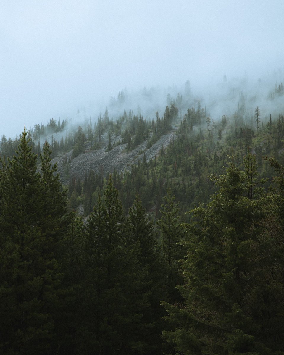 Gloom