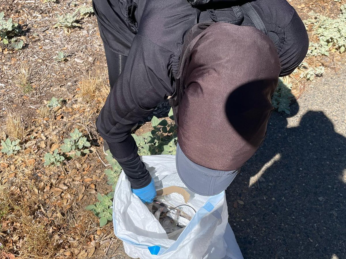 arpfsac's tweet photo. Thanks to #arpfsac volunteers who came out over the last week to help with conservation of the #AmericanRiverParkway.
*10 volunteers removed 144 invasive plants from Sacramento Bar
*3 clean-ups with more than 70 volunteers that removed around 6k pounds of trash
#LoveTheParkway https://t.co/aieWmyW1DI