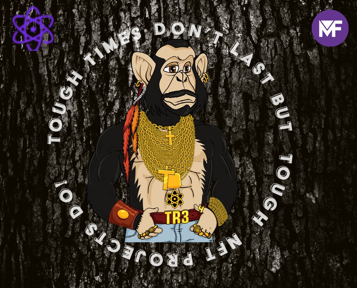 ℙroton Chimps ⚛️ tweet media