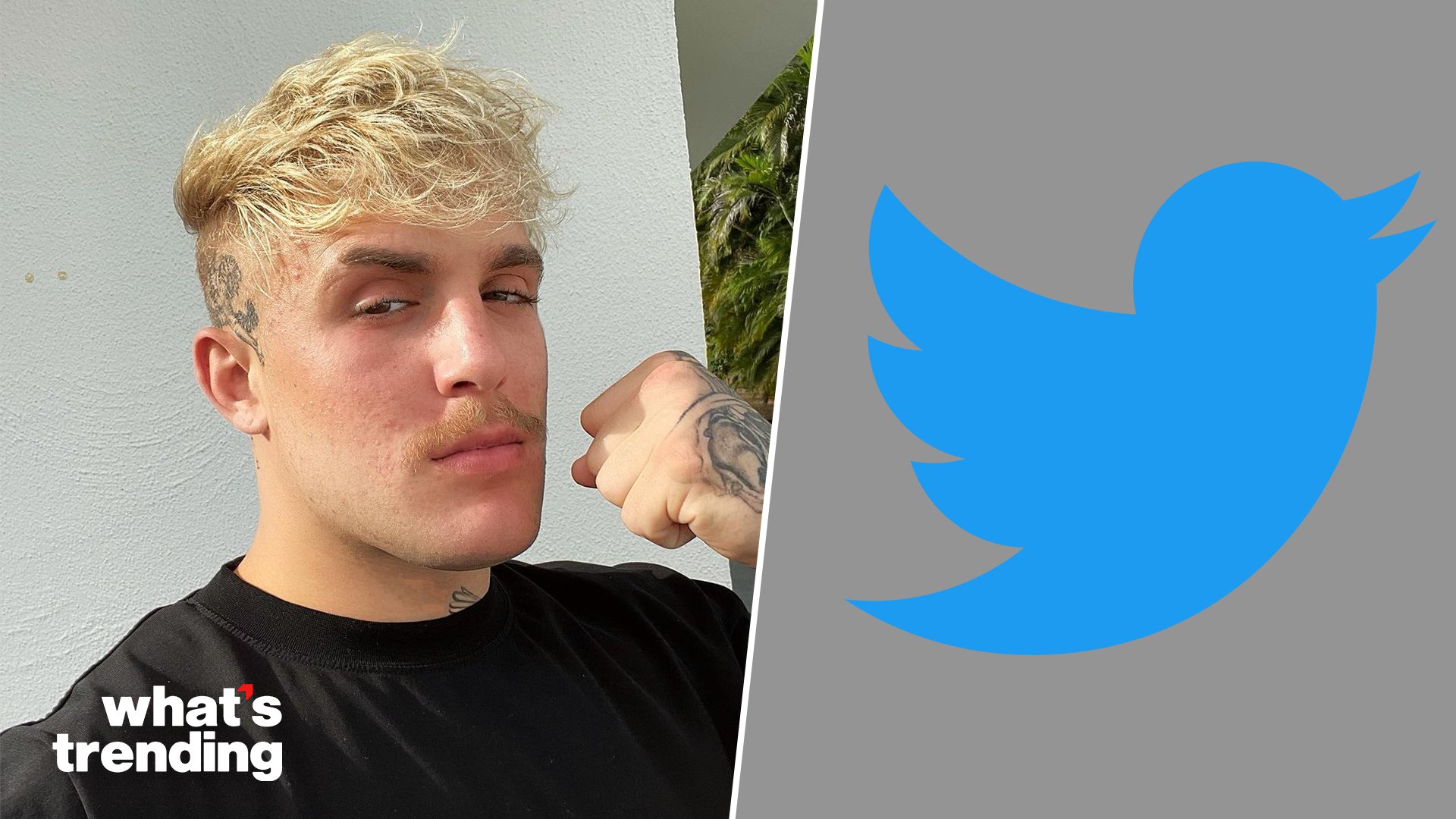 What's Trending on Twitter "Jake Paul discussed his political beliefs