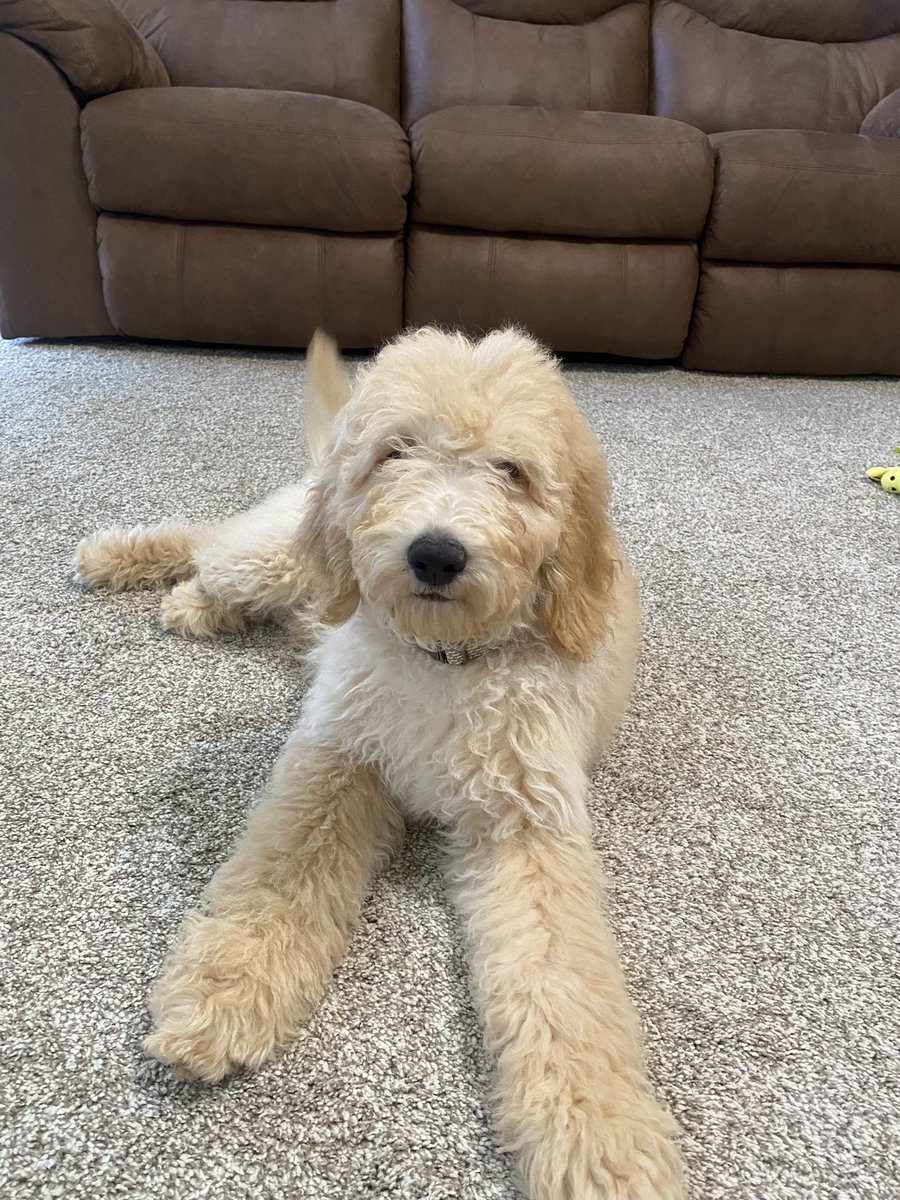 havenx33's tweet photo. everyone welcome Cowboy😍 https://t.co/CTbhD2tW1o