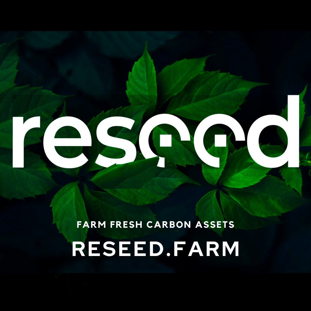 tyler malin (@tylermalin) on Twitter photo Markets have many scrambling for value <a href="/reseedcarbon/">ReSeed.farm</a> we are asset-backed. I’m happy to share the launch of ReSeed Carbon Assets! We are a company that is bringing the carbon stored by the 500 million small farmers in the world to market! #ReFi #Cryptocrash #Crypto #CarbonFinance Markets have many scrambling for value <a href="/reseedcarbon/">ReSeed.farm</a> we are asset-backed. I’m happy to share the launch of ReSeed Carbon Assets! We are a company that is bringing the carbon stored by the 500 million small farmers in the world to market! #ReFi #Cryptocrash #Crypto #CarbonFinance