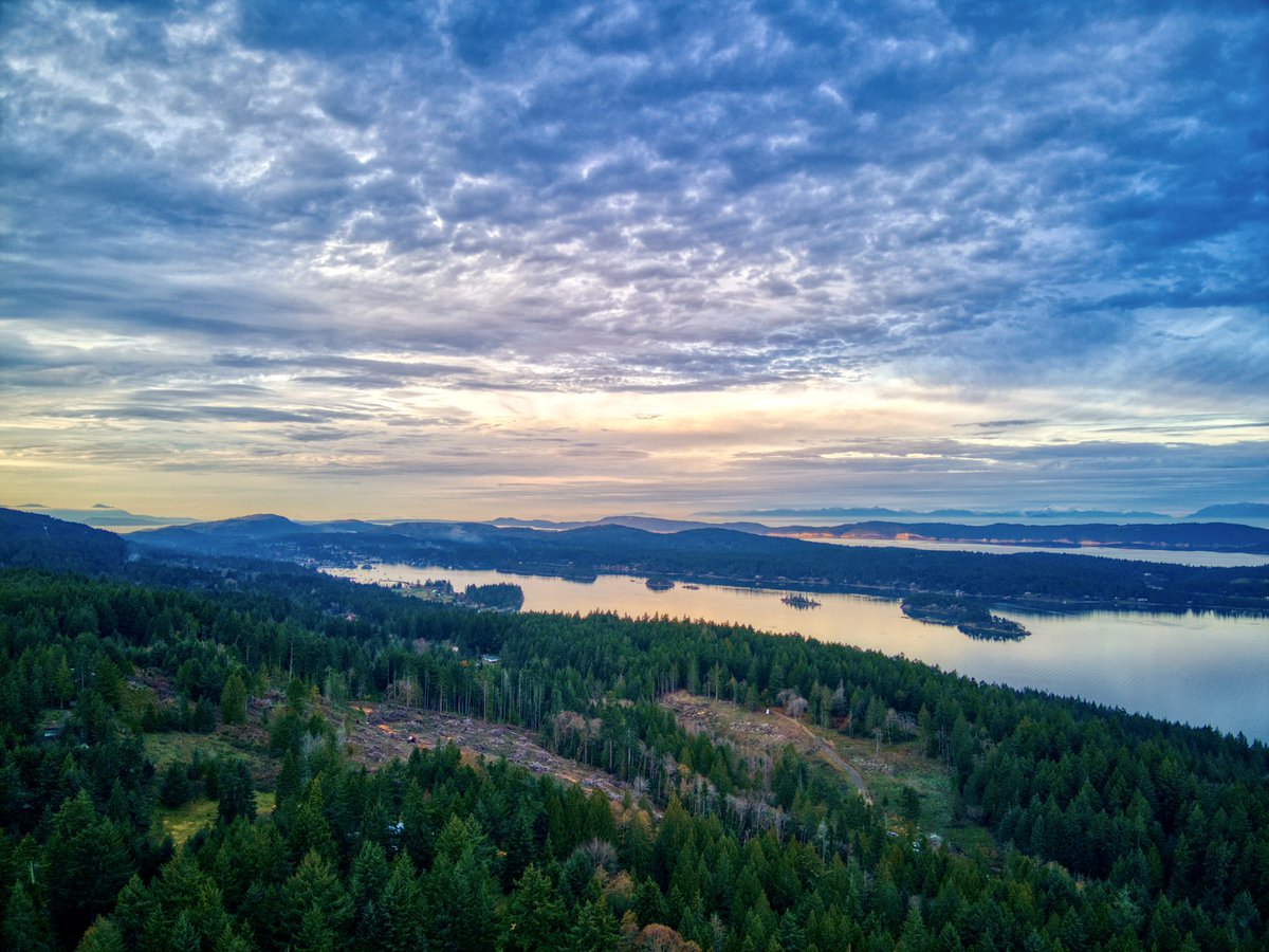 SkyTechPhotoSSI's tweet photo. Ganges Harbour sunset on November 21 2021 #GangesHarbour #SaltSpringIsland https://t.co/VU0kE9jJxO