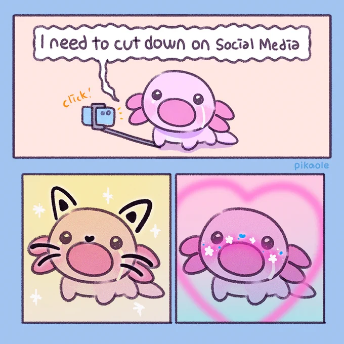 Ver.other social media 