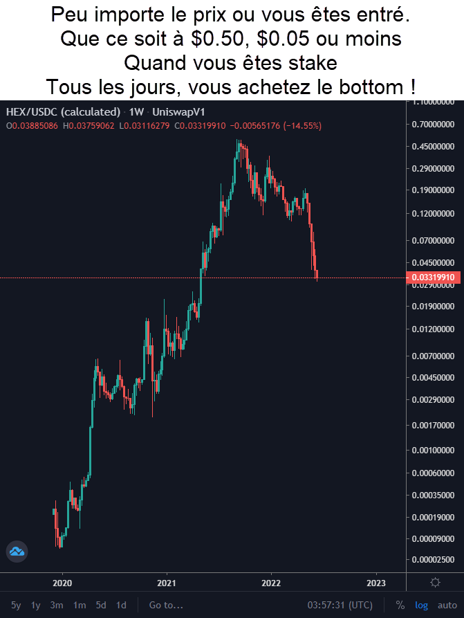WinnydTotok's tweet photo. No matter the price you get in 
Whether it is 50 cents, 5 cents or less
When you're staked
Everyday, you buy the dip !

#Hex #cryptocrash #PulseChain https://t.co/30hxcczxRo