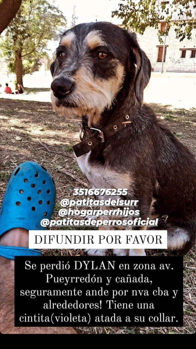 <a href="/VivireNuevaCba/">VivirenNuevaCórdoba®</a> <a href="/VivirEnNuevaCba/">Vivir en Nueva Cba</a> difundir por favor!!!! 🙏🙏🙏🙏