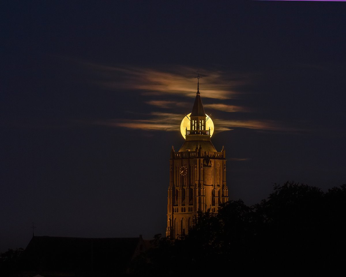 Betuwefotograaf.nl tweet media