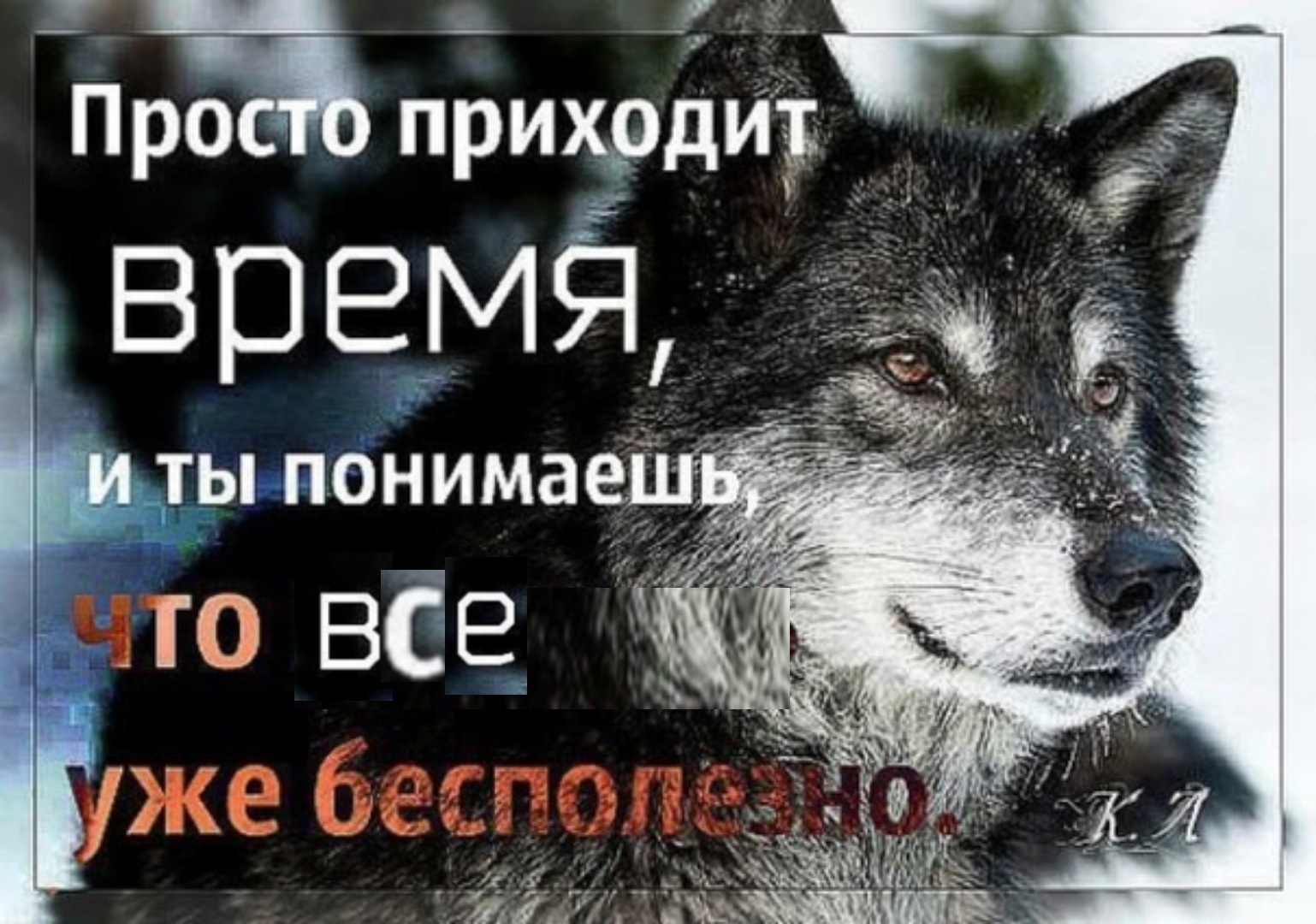 Волки цитаты в картинках