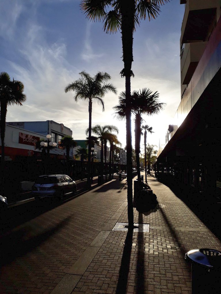 NapierinFrame's tweet photo. "Should Auckland's "Golden Mile" be pedestrianised?" Wails Walesi..

Napier's platinum 1/2km has been predominantly pedestriansed since the 90s!

#TryAndKeepUp! https://t.co/kedXJjTWJ1