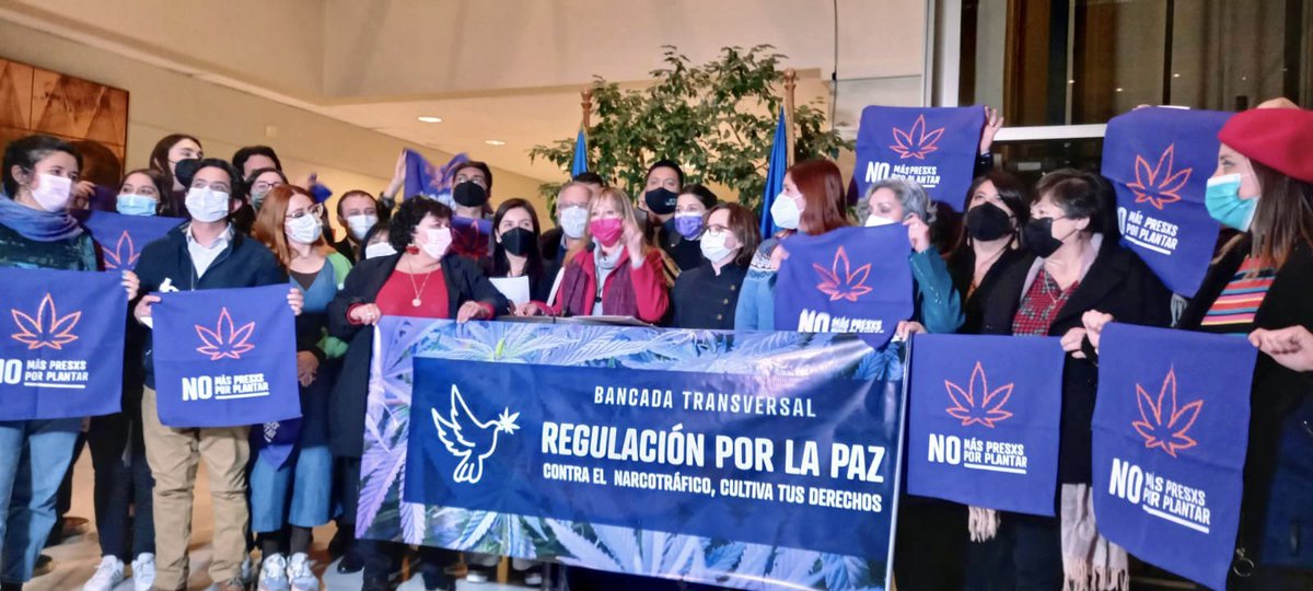 AnaMariaGazmuri's tweet photo. Frente al duro escenario de avance del Narcotráfico y el crimen organizado y la grave criminalización que afecta a usuri@s de cannabis, lanzamos la Bancada Transveral por La Paz, con + de 50 diputad@s de diversas bancadas. #RegulacionPorLaPaz
#NoMasPresosPorPlantar #CannabisLegal https://t.co/DVlB34Eyc2