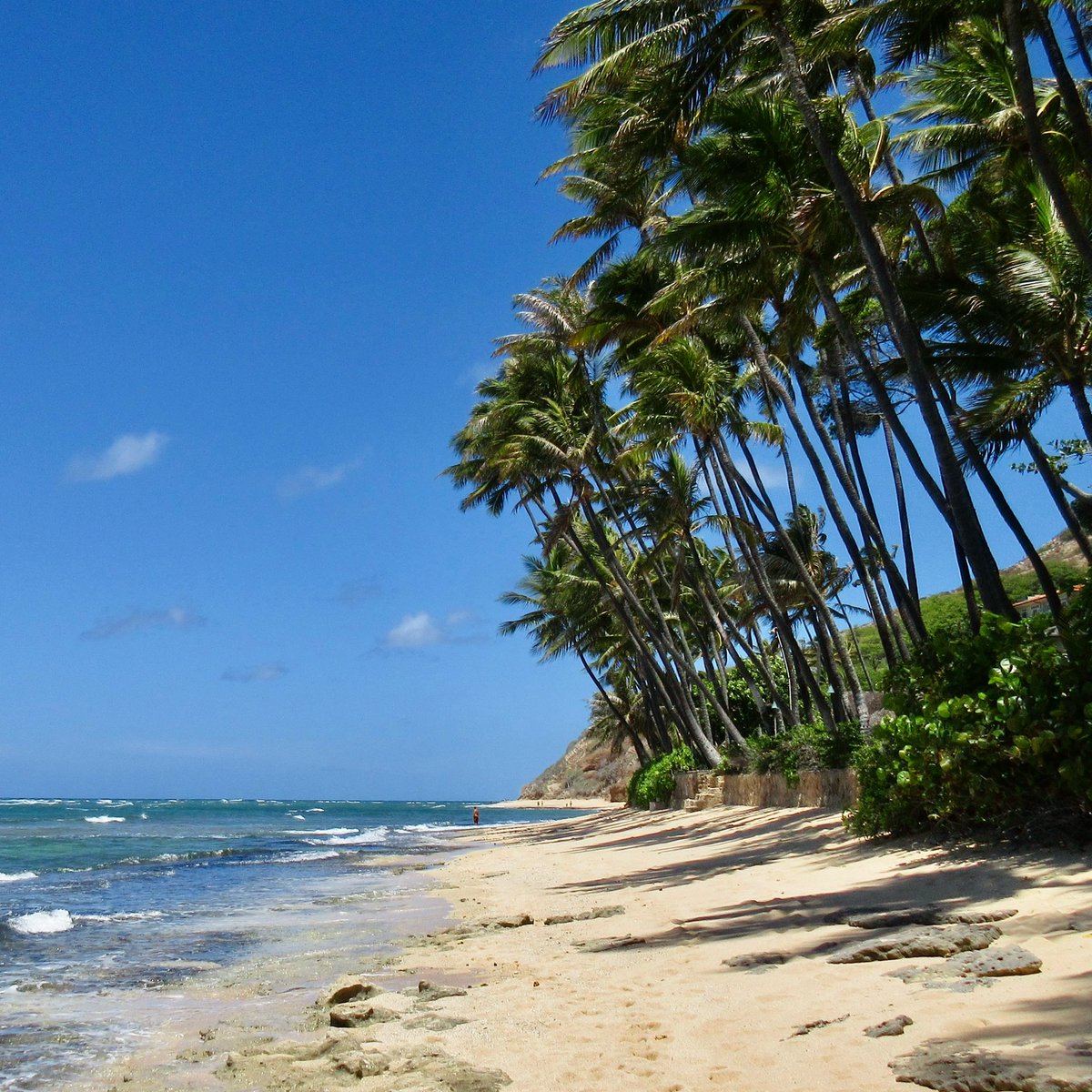 hawaii_isla808's tweet photo. Aloha Monday! Cromwell Beach near Kahala📸☀️🌺❤️🌴🌴🤙🏼🏝🍹 #hawaii #cromwellsbeach #aoha https://t.co/yjpoj86Jjp